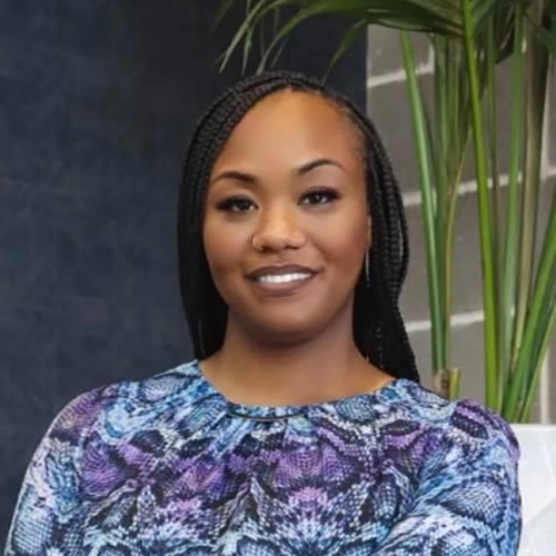 Pinnacle Consulting | Who We Are